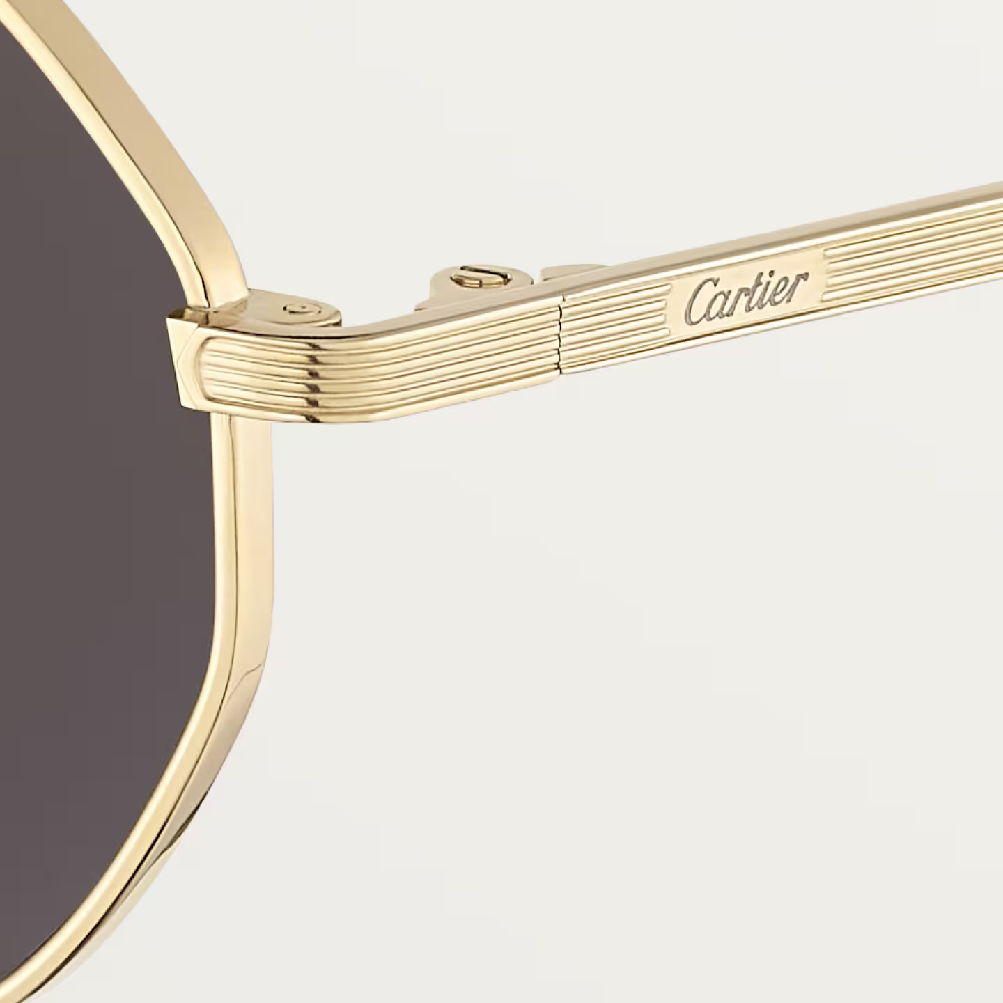 Occhiali da sole ottagonale Signature C de CT con lenti grigie