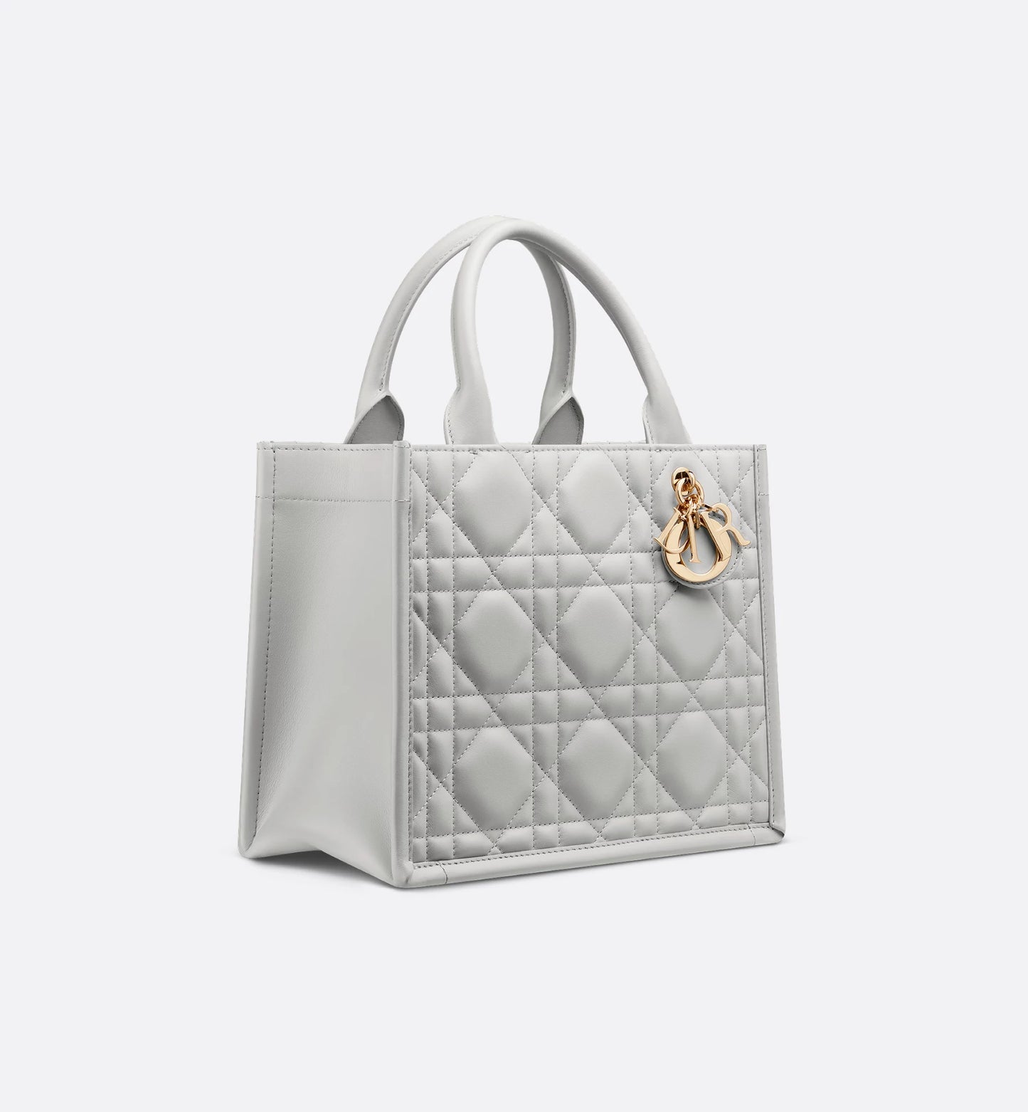 Borsa Grande Dior Book Tote Grigio