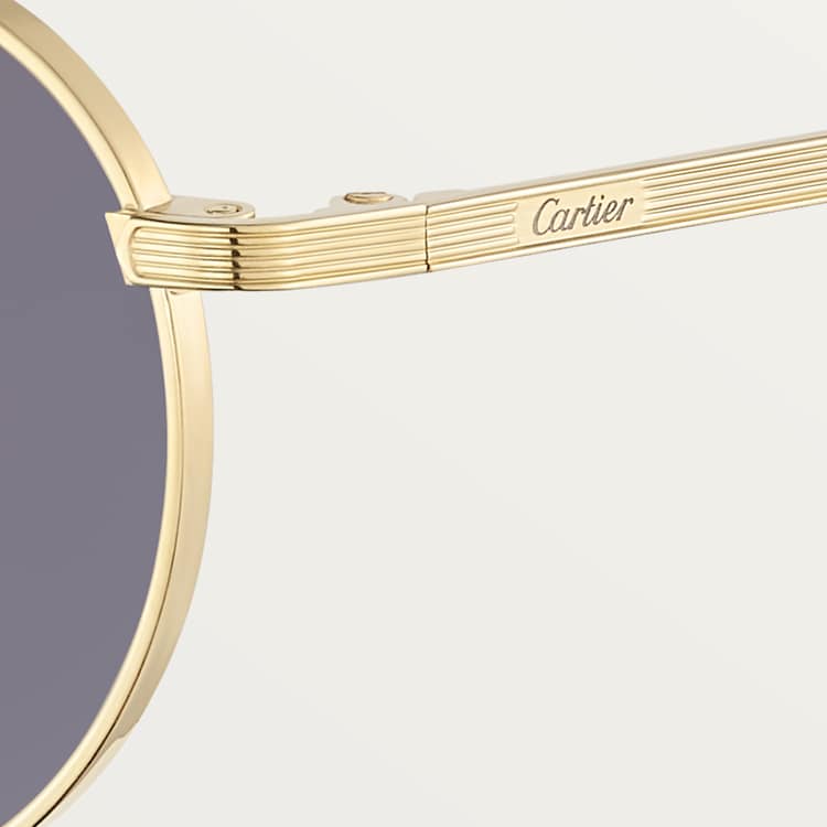 Signature C Sunglasses CT Light Grey Lenses for Men