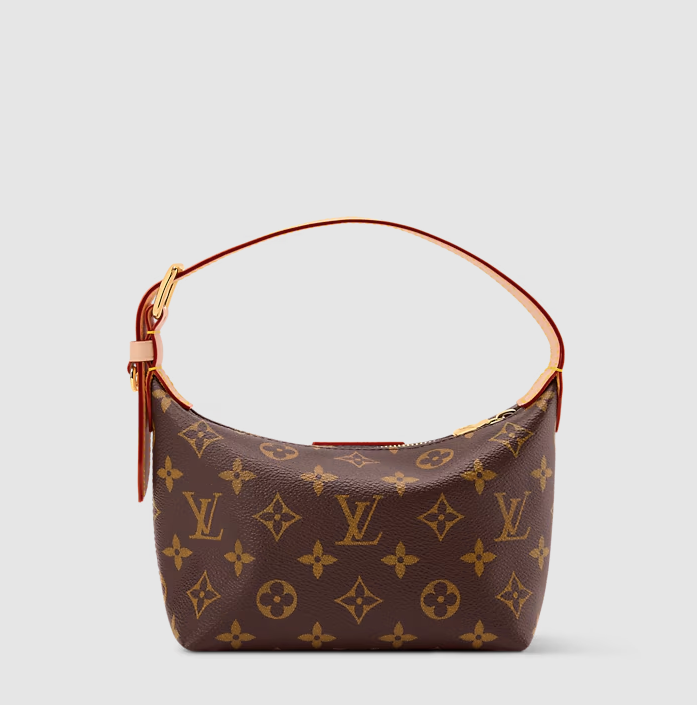 Pochette Hills in Tela Monogram
