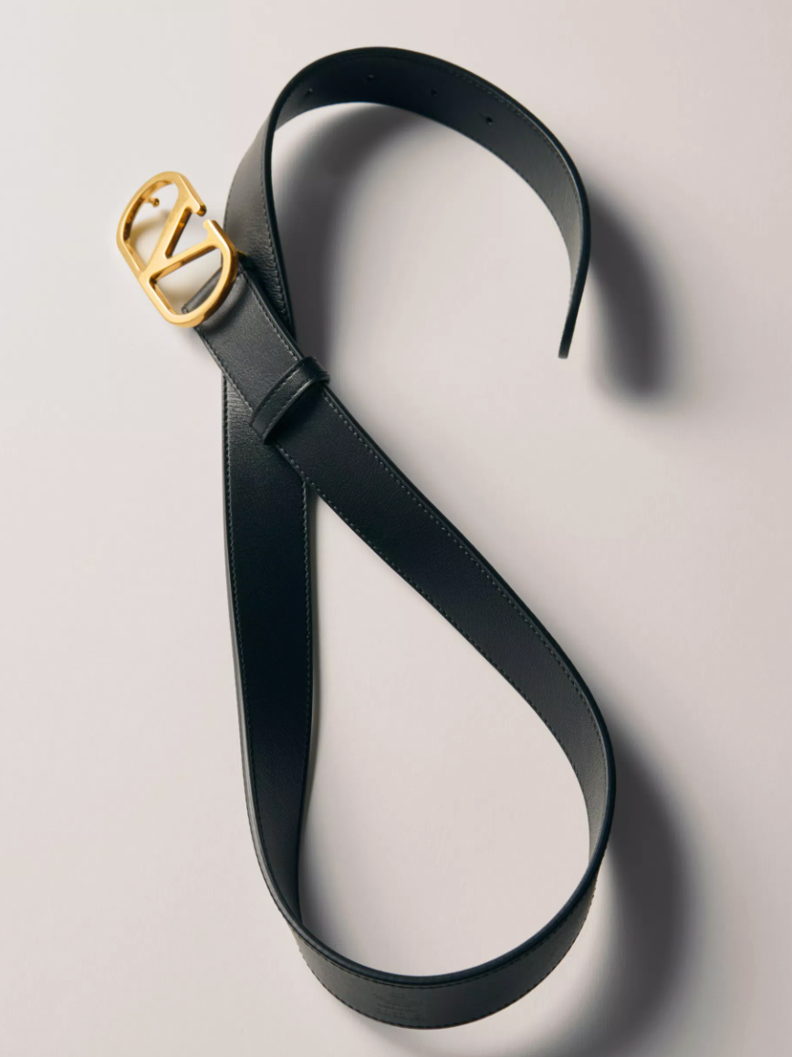 Black Belt VLogo Black