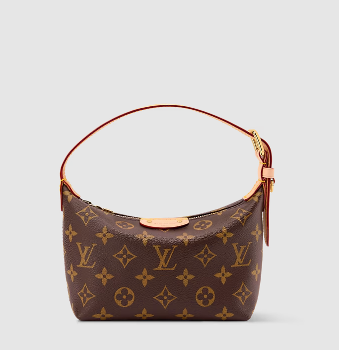Pochette Hills in Tela Monogram