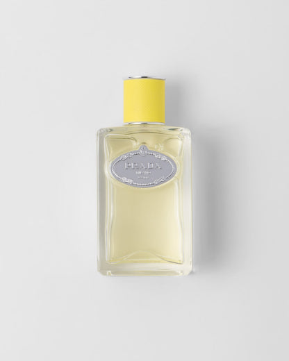 PP Infusion d'Ylang EDP 100ml