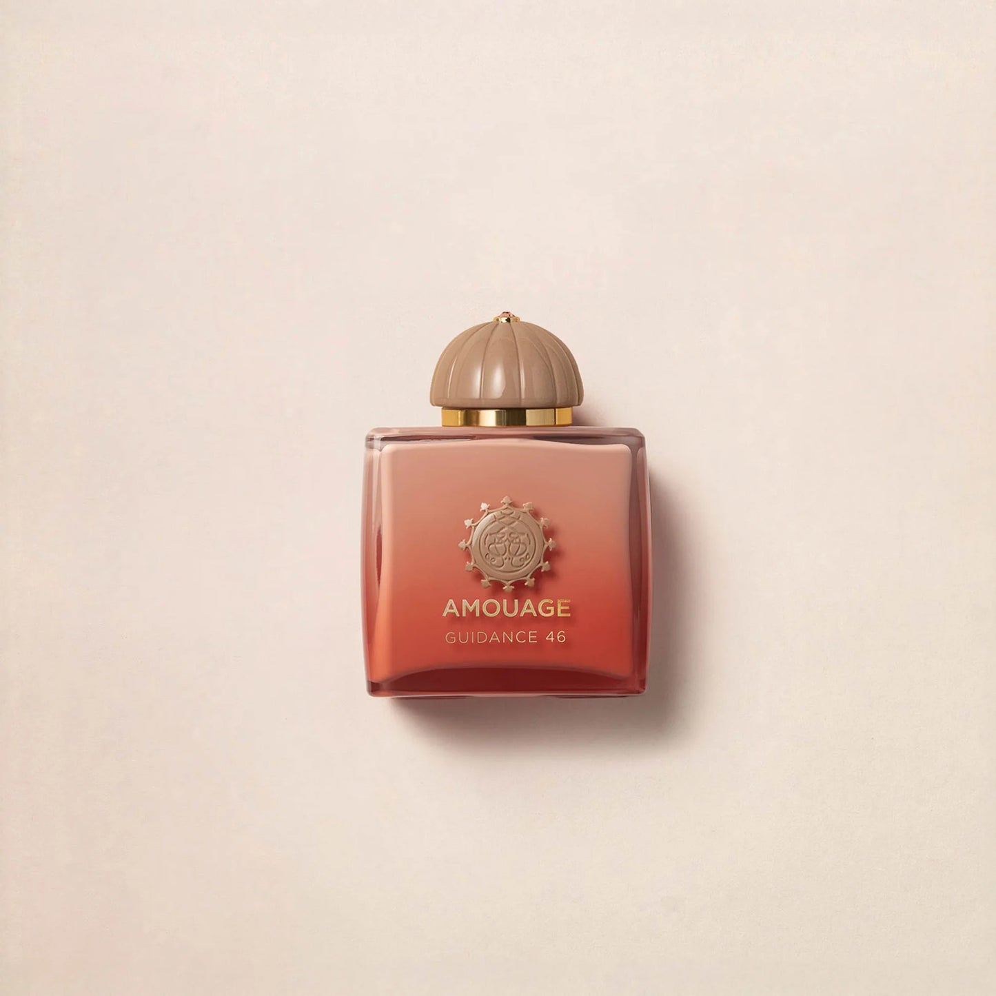 Guidance 46 Exceptional Extrait 100 ml