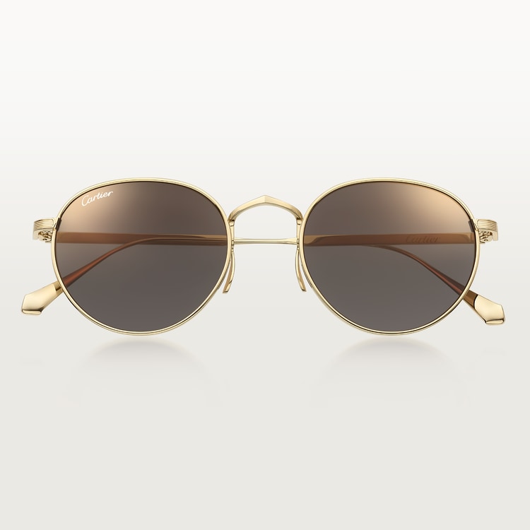 Men's Signature C de CT Sunglasses