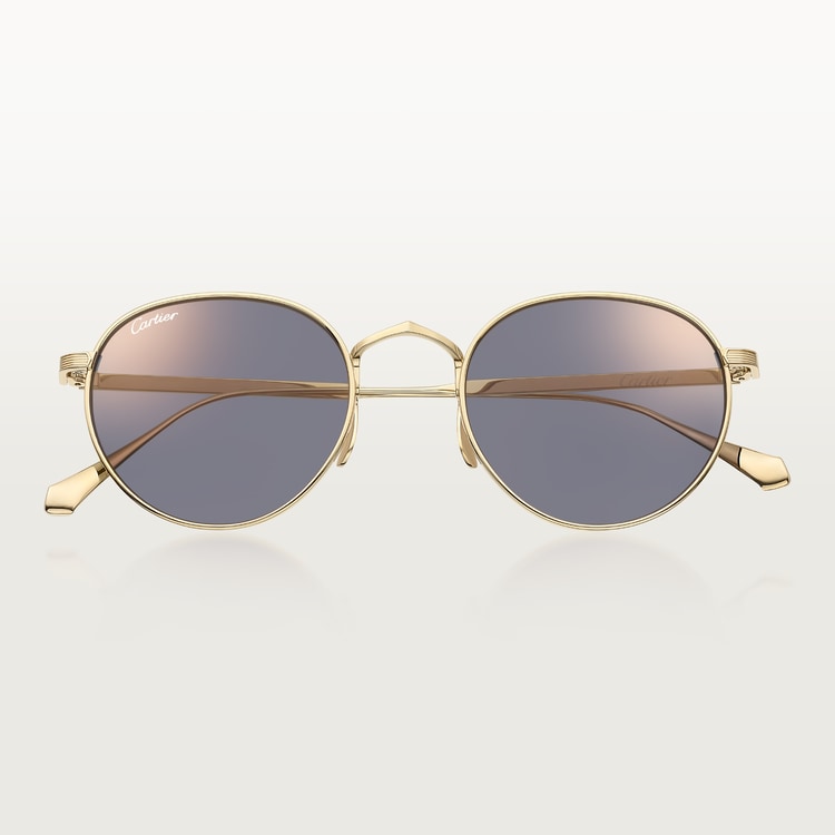 Signature C Sunglasses CT Light Grey Lenses for Men