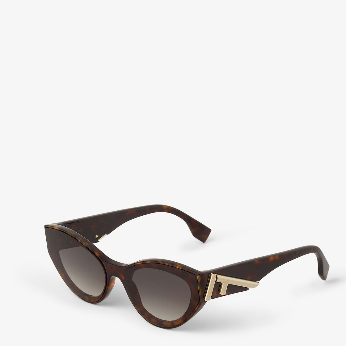 Women's First Havana Acetate Sunglasses