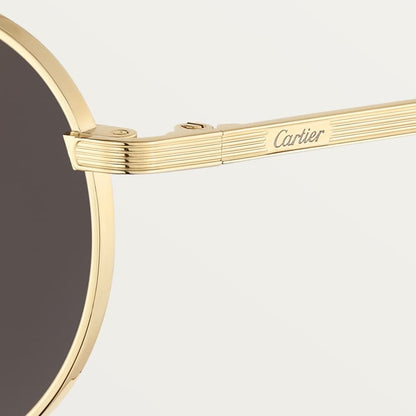 Men's Signature C de CT Sunglasses