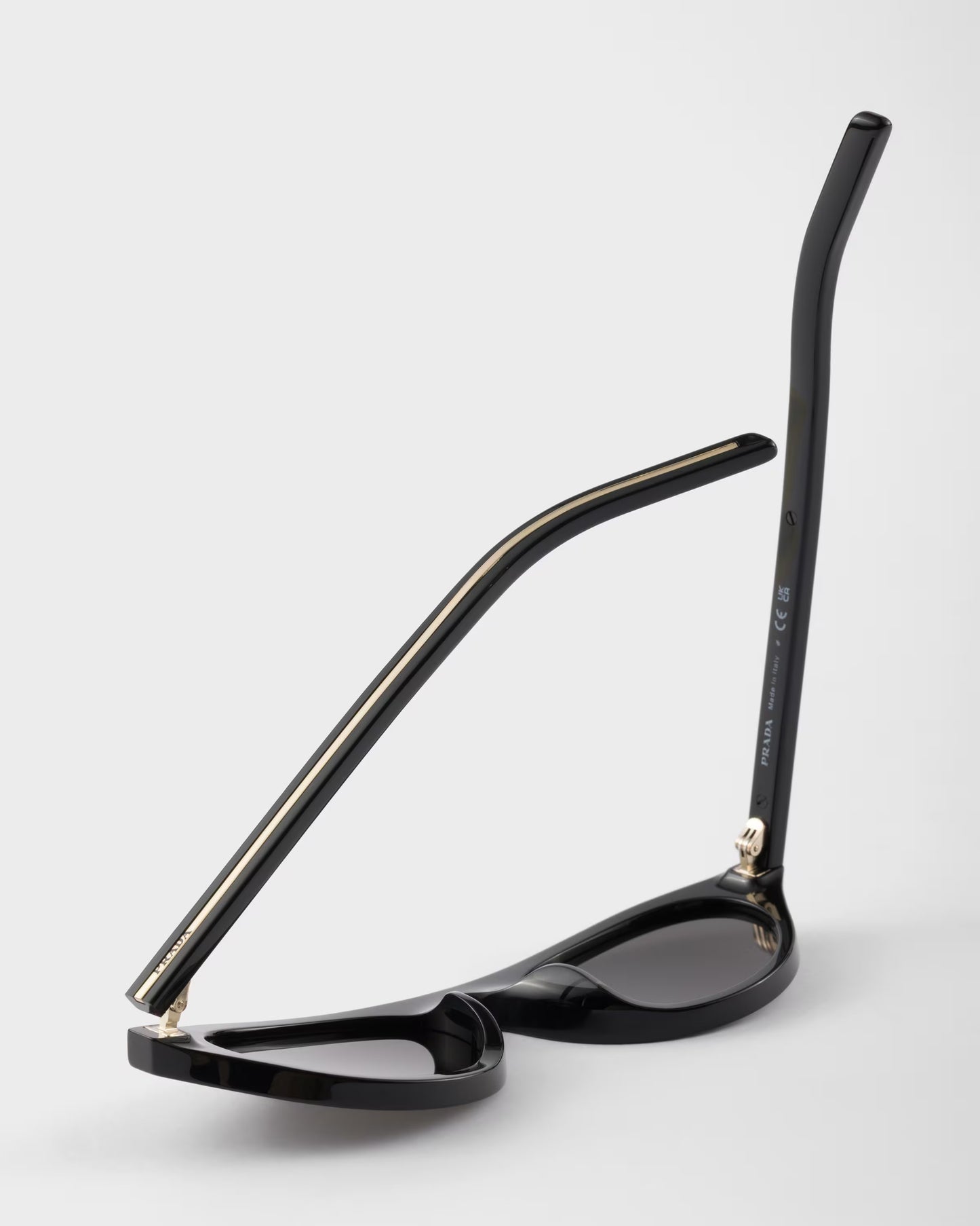 Sunglasses with Iconic Black Metal Plaque