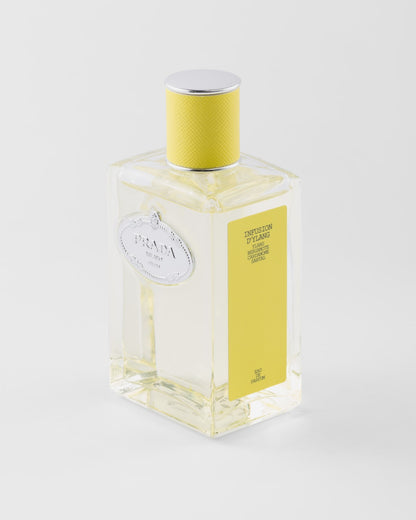 PP Infusion d'Ylang EDP 100ml