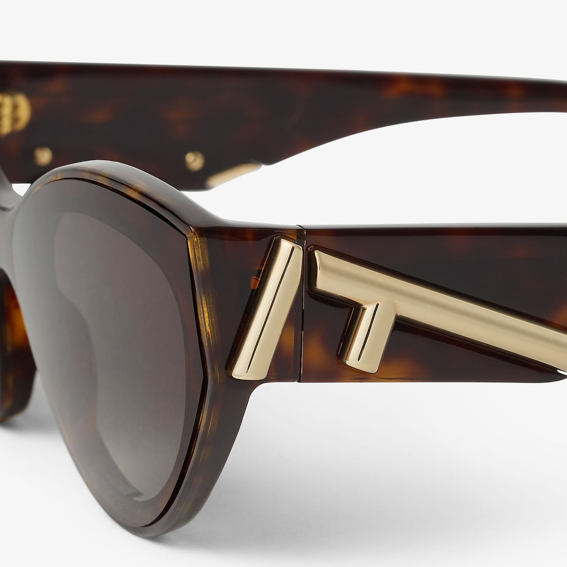 Women's First Havana Acetate Sunglasses