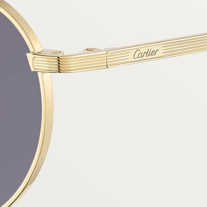 Signature C Sunglasses CT Light Grey Lenses for Men