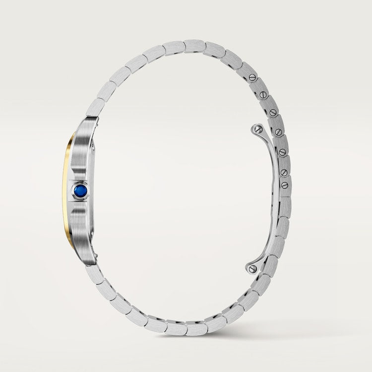Santos watch in silver/gold