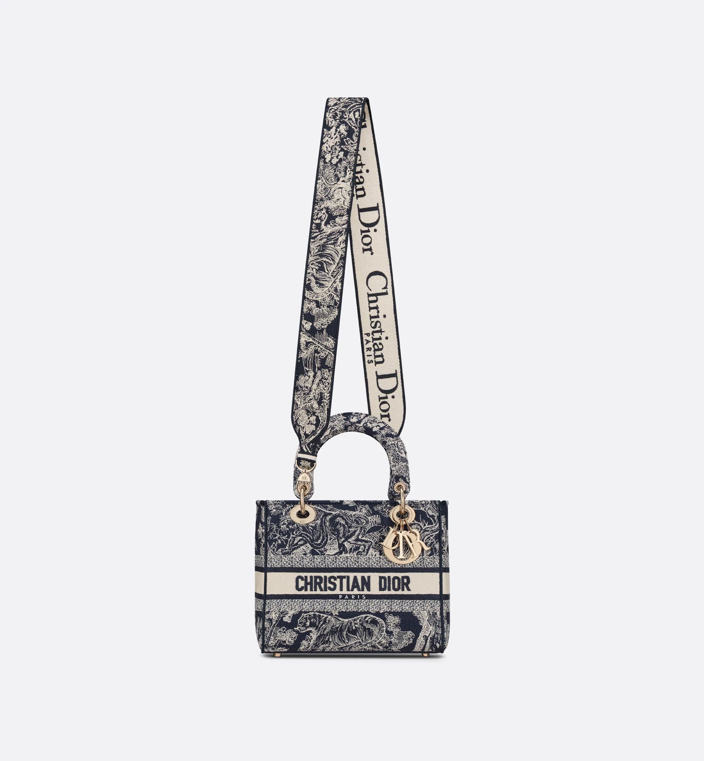 BORSA MEDIA DIOR BOOK TOTE BLU